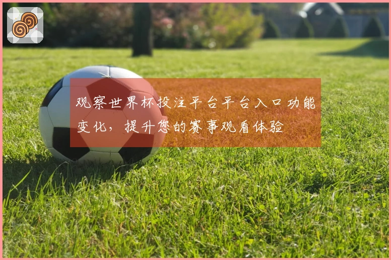 观察世界杯投注平台平台入口功能变化，提升您的赛事观看体验
