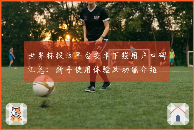 世界杯投注平台安卓下载用户口碑汇总：新手使用体验及功能介绍