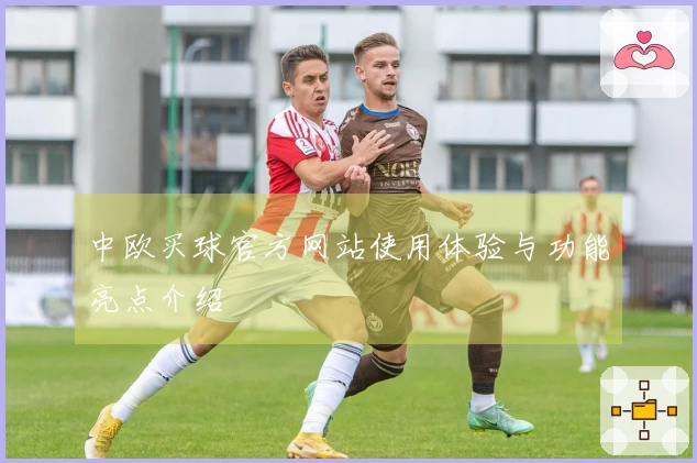 中欧买球官方网站使用体验与功能亮点介绍