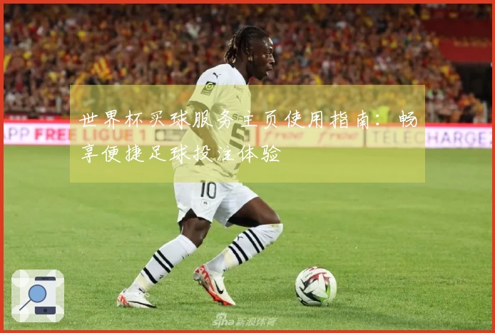世界杯买球服务主页使用指南：畅享便捷足球投注体验