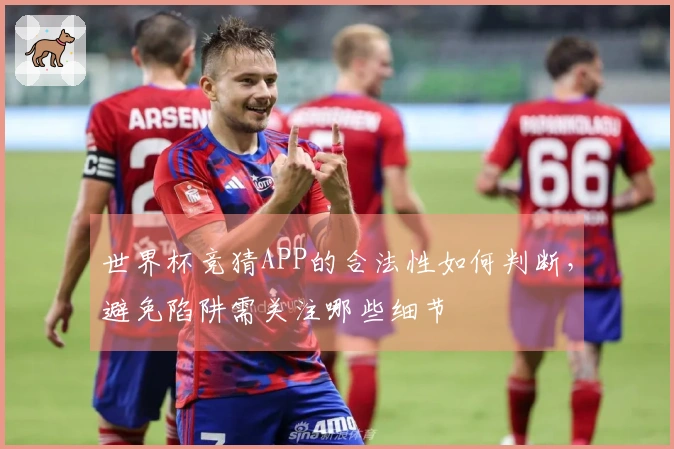 世界杯竞猜APP的合法性如何判断,避免陷阱需关注哪些细节