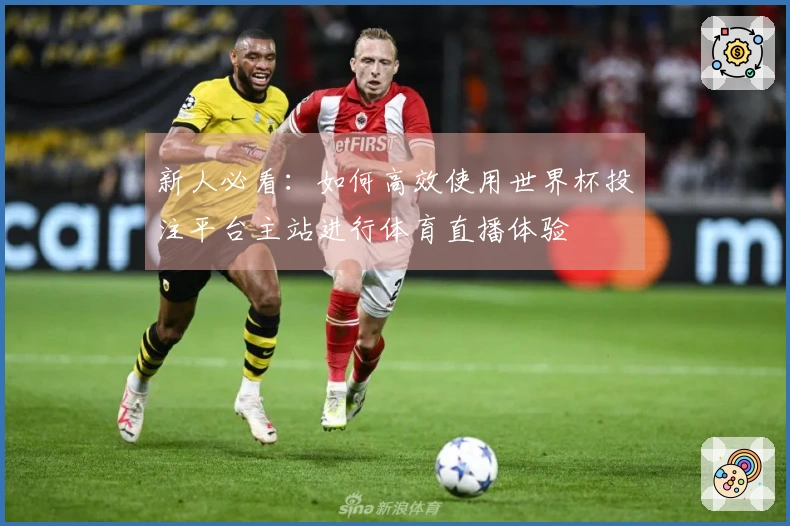 新人必看:如何高效使用世界杯投注平台主站进行体育直播体验