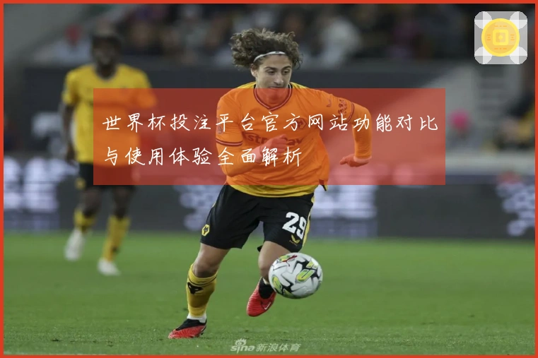 世界杯投注平台官方网站功能对比与使用体验全面解析