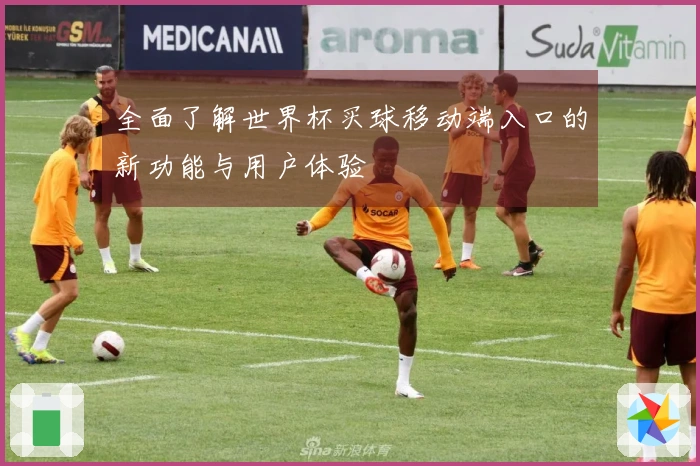 全面了解世界杯买球移动端入口的新功能与用户体验