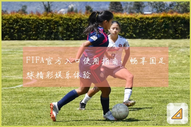 FIFA官方入口使用指南,畅享国足球精彩娱乐体验