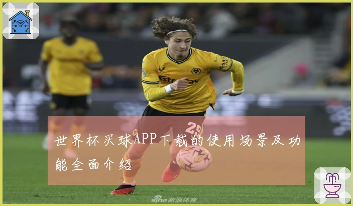 世界杯买球APP下载的使用场景及功能全面介绍