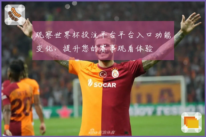 观察世界杯投注平台平台入口功能变化，提升您的赛事观看体验