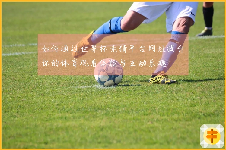 如何通过世界杯竞猜平台网址提升你的体育观看体验与互动乐趣