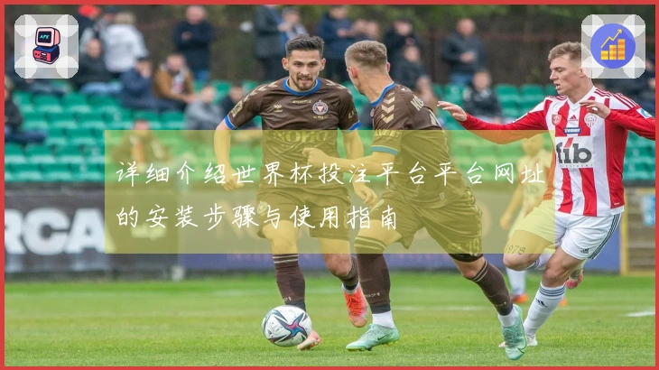 详细介绍世界杯投注平台平台网址的安装步骤与使用指南