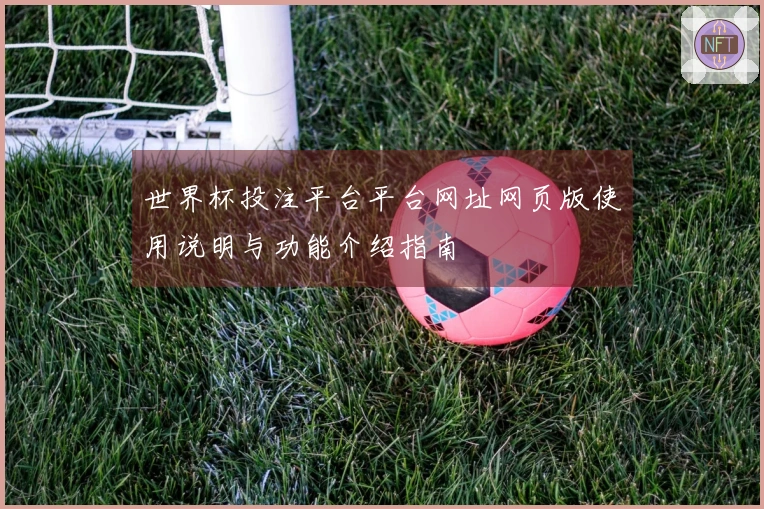 世界杯投注平台平台网址网页版使用说明与功能介绍指南