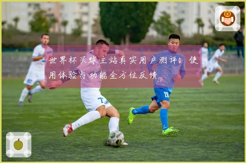 世界杯买球主站真实用户测评:使用体验与功能全方位反馈