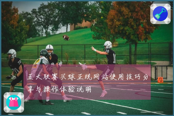 五大联赛买球正规网站使用技巧分享与操作体验说明
