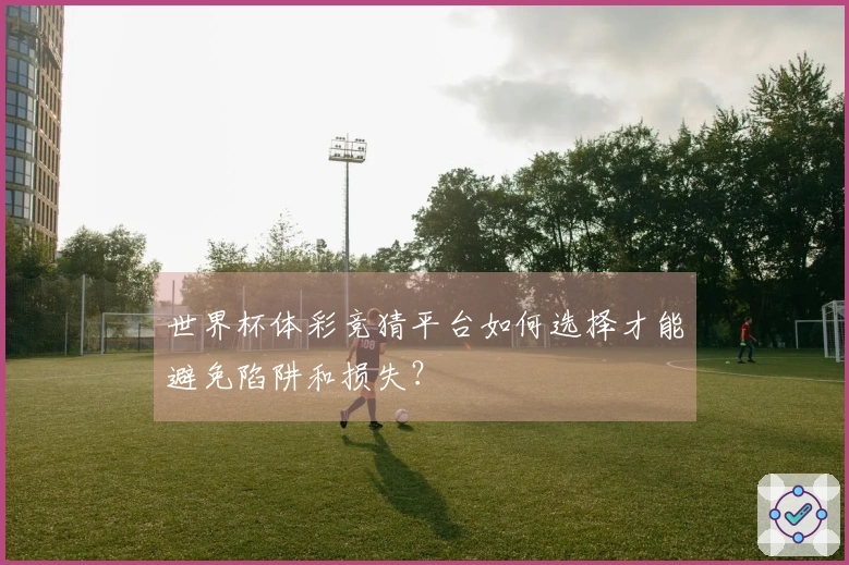 世界杯体彩竞猜平台如何选择才能避免陷阱和损失?