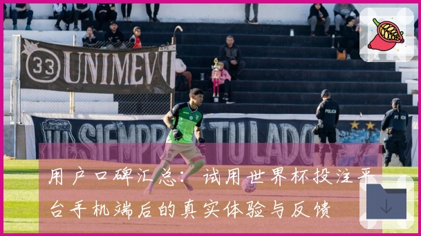 用户口碑汇总：试用世界杯投注平台手机端后的真实体验与反馈